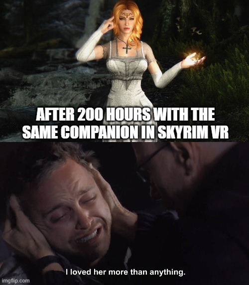 Pinkman Dragonborn | AFTER 200 HOURS WITH THE SAME COMPANION IN SKYRIM VR | image tagged in skyrim,virtual reality,breaking bad,jesse pinkman,SkyrimMemes | made w/ Imgflip meme maker
