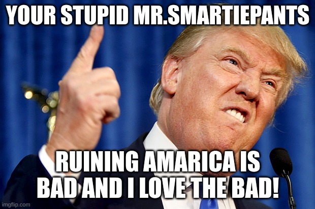 Donald Trump | YOUR STUPID MR.SMARTIEPANTS RUINING AMARICA IS BAD AND I LOVE THE BAD! | image tagged in donald trump | made w/ Imgflip meme maker