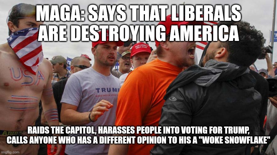 MAGA needs to calm down: | MAGA: SAYS THAT LIBERALS ARE DESTROYING AMERICA; RAIDS THE CAPITOL, HARASSES PEOPLE INTO VOTING FOR TRUMP, CALLS ANYONE WHO HAS A DIFFERENT OPINION TO HIS A "WOKE SNOWFLAKE" | image tagged in angry red cap,maga | made w/ Imgflip meme maker