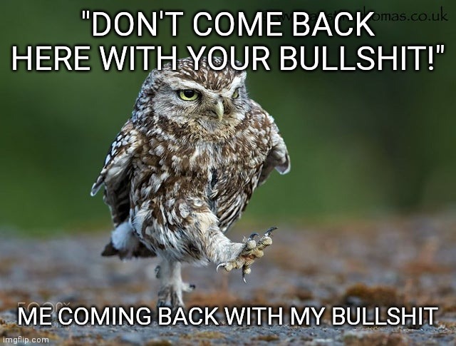 Strutting Bullshit Owl | "DON'T COME BACK HERE WITH YOUR BULLSHIT!"; ME COMING BACK WITH MY BULLSHIT | image tagged in strut,bullshit,owl | made w/ Imgflip meme maker