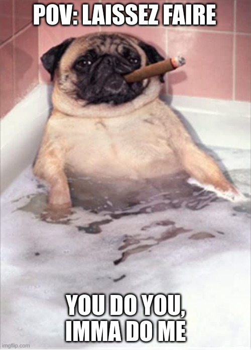 Pug Dog Cigar Bubble Bath | POV: LAISSEZ FAIRE; YOU DO YOU, IMMA DO ME | image tagged in pug dog cigar bubble bath | made w/ Imgflip meme maker