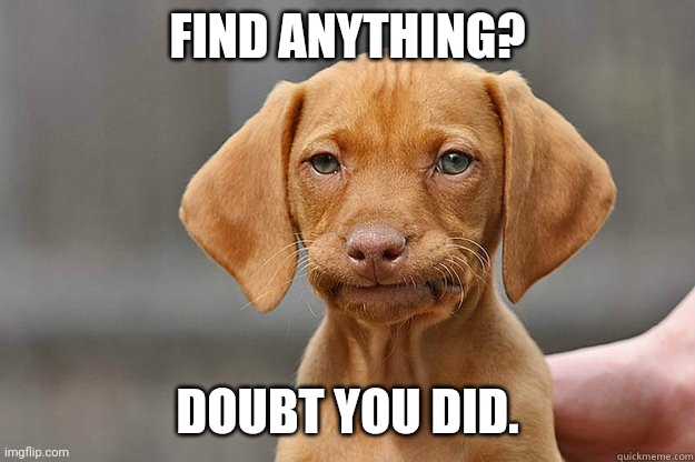 Bored Dog | FIND ANYTHING? DOUBT YOU DID. | image tagged in bored dog | made w/ Imgflip meme maker