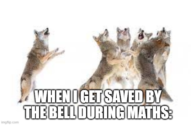 Saved by the bell :3 | WHEN I GET SAVED BY THE BELL DURING MATHS: | image tagged in saved by the bell | made w/ Imgflip meme maker