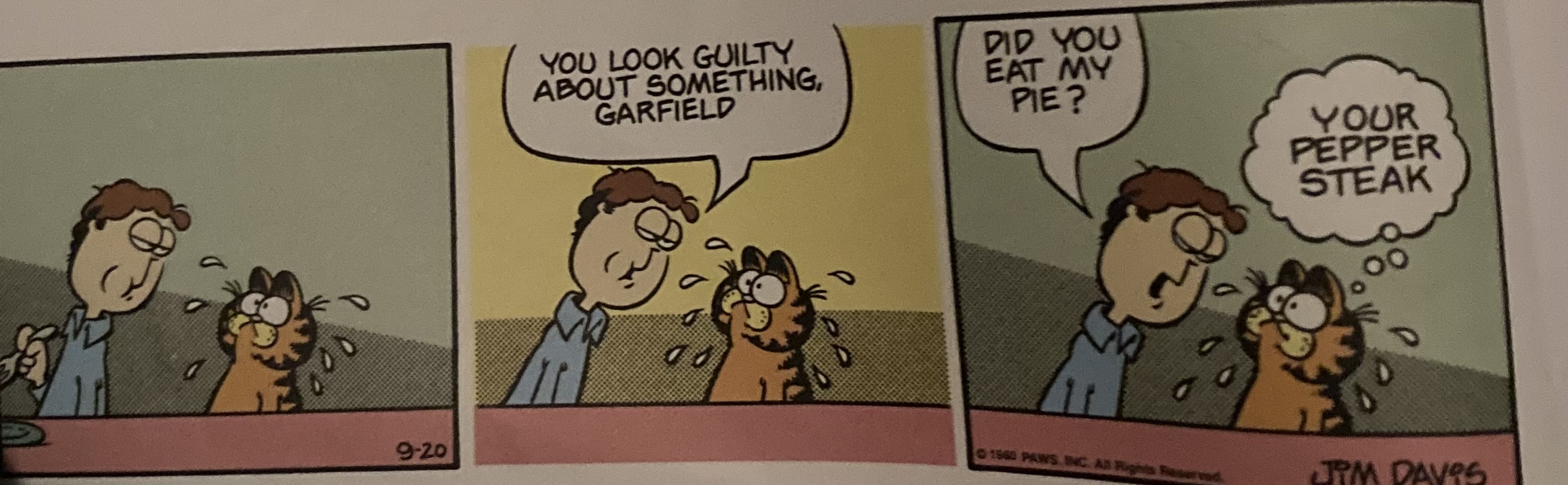 Garfield you look guilty about something Blank Meme Template