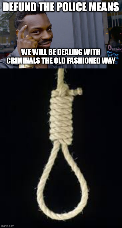 DEFUND THE POLICE MEANS; WE WILL BE DEALING WITH CRIMINALS THE OLD FASHIONED WAY | image tagged in memes,roll safe think about it,noose | made w/ Imgflip meme maker