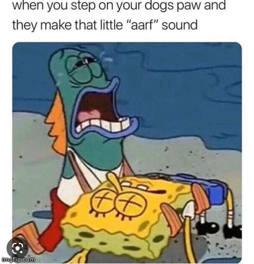 Bruh | image tagged in dogs,spongebob,sad,certified bruh moment | made w/ Imgflip meme maker