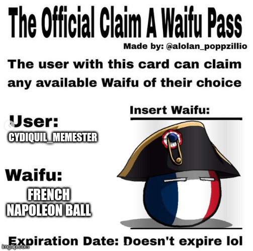 Napoleon | CYDIQUIL_MEMESTER; FRENCH NAPOLEON BALL | image tagged in official claim a waifu pass | made w/ Imgflip meme maker