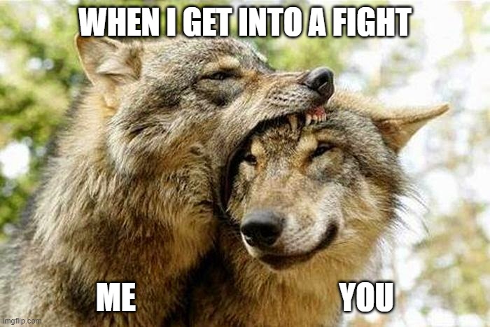 Fights | WHEN I GET INTO A FIGHT; ME                                 YOU | image tagged in funny | made w/ Imgflip meme maker