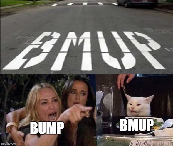 woman yelling at cat | BMUP; BUMP | image tagged in woman yelling at cat,memes,youhadonejob,funny | made w/ Imgflip meme maker