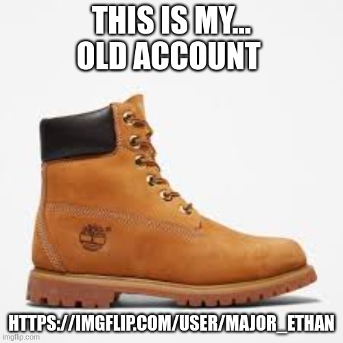 its mad embarssing | THIS IS MY... OLD ACCOUNT; HTTPS://IMGFLIP.COM/USER/MAJOR_ETHAN | image tagged in tim | made w/ Imgflip meme maker