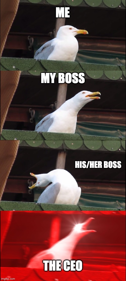 Communication | ME; MY BOSS; HIS/HER BOSS; THE CEO | image tagged in memes,inhaling seagull | made w/ Imgflip meme maker