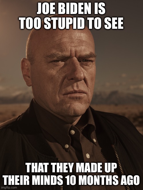 Hank Schrader - Breaking Bad - Dean Norris | JOE BIDEN IS TOO STUPID TO SEE; THAT THEY MADE UP THEIR MINDS 10 MONTHS AGO | image tagged in hank schrader - breaking bad - dean norris,world war 3,joe biden,vladimir putin,xi jinping,facts | made w/ Imgflip meme maker