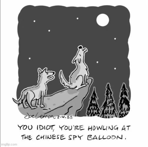 credits on the image ^^ | image tagged in furry,the furry fandom,memes,lol so funny,wolves,chinese spy balloon | made w/ Imgflip meme maker