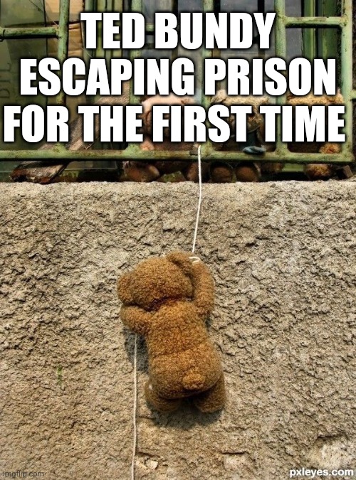 Teddy bear Bundy | TED BUNDY ESCAPING PRISON FOR THE FIRST TIME | image tagged in ted bundy,ted bundy memes,funny ted bundy memes,ted bundy as a teddy bear,bundy funnies,true crime memes | made w/ Imgflip meme maker