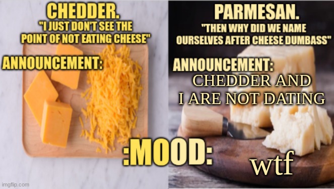 Chedder.+ Parmesan.'s Temp | CHEDDER AND I ARE NOT DATING; wtf | image tagged in chedder parmesan 's temp | made w/ Imgflip meme maker