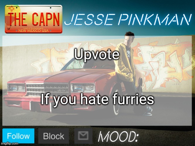 If y'all don't upvote within 1 minute, I will take your family | Upvote; If you hate furries | image tagged in jesse pinkman template | made w/ Imgflip meme maker