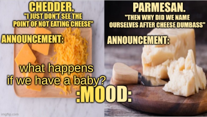 yo this new pizza topic is fire | what happens if we have a baby? | image tagged in chedder parmesan 's temp | made w/ Imgflip meme maker