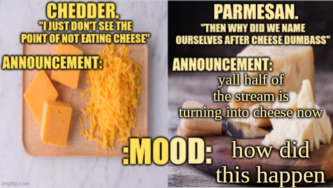 Chedder.+ Parmesan.'s Temp | yall half of the stream is turning into cheese now; how did this happen | image tagged in chedder parmesan 's temp | made w/ Imgflip meme maker