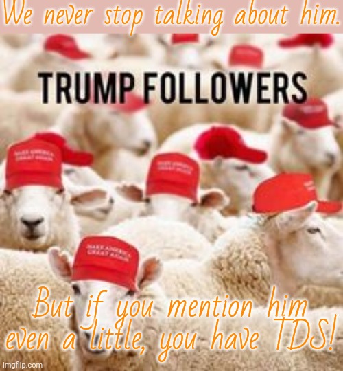 A case of projection. | We never stop talking about him. But if you mention him even a little, you have TDS! | image tagged in trump followers sheeple,conservative hypocrisy,maga,contradiction | made w/ Imgflip meme maker