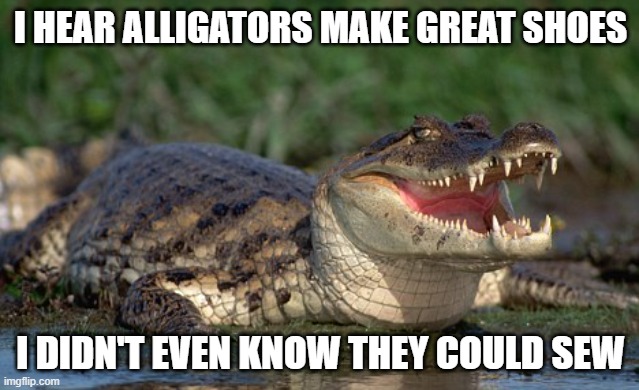 Alligator | I HEAR ALLIGATORS MAKE GREAT SHOES; I DIDN'T EVEN KNOW THEY COULD SEW | image tagged in alligator,shoes,sports,funny memes,2023,nature | made w/ Imgflip meme maker