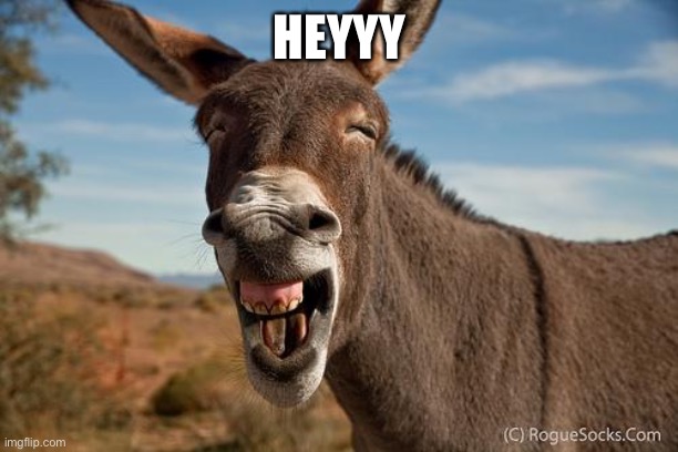 Donkey Jackass Braying | HEYYY | image tagged in donkey jackass braying | made w/ Imgflip meme maker