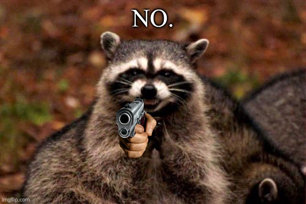 Evil Plotting Raccoon Meme | NO. | image tagged in memes,evil plotting raccoon | made w/ Imgflip meme maker