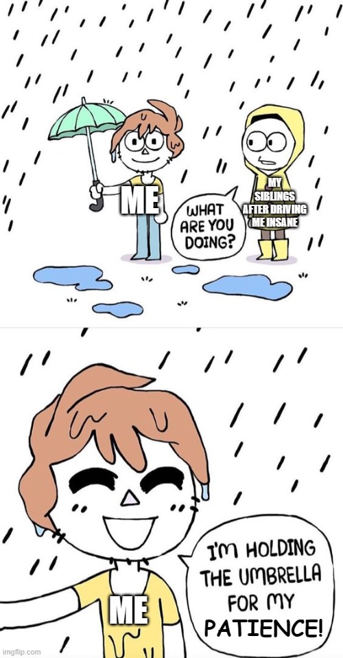 You could probably relate to this | MY SIBLINGS AFTER DRIVING ME INSANE; ME; ME; PATIENCE! | image tagged in owlturd holding an umbrella,siblings,patience | made w/ Imgflip meme maker