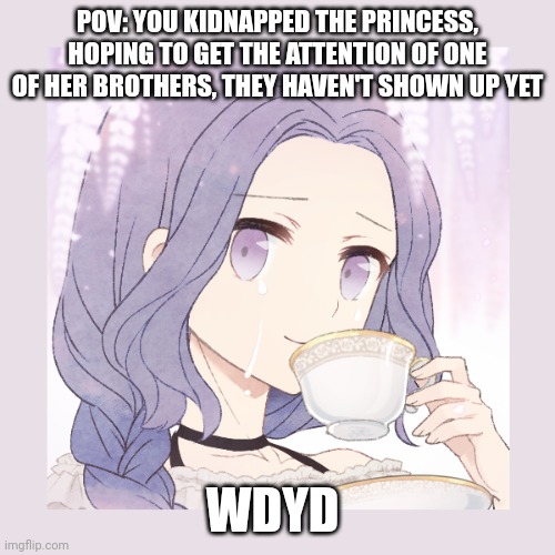 No joke, Roblox, or vehicle ocs | POV: YOU KIDNAPPED THE PRINCESS, HOPING TO GET THE ATTENTION OF ONE OF HER BROTHERS, THEY HAVEN'T SHOWN UP YET; WDYD | image tagged in roleplaying | made w/ Imgflip meme maker