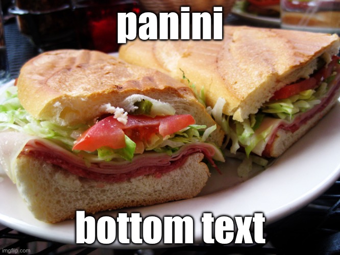 panini | panini; bottom text | image tagged in food | made w/ Imgflip meme maker