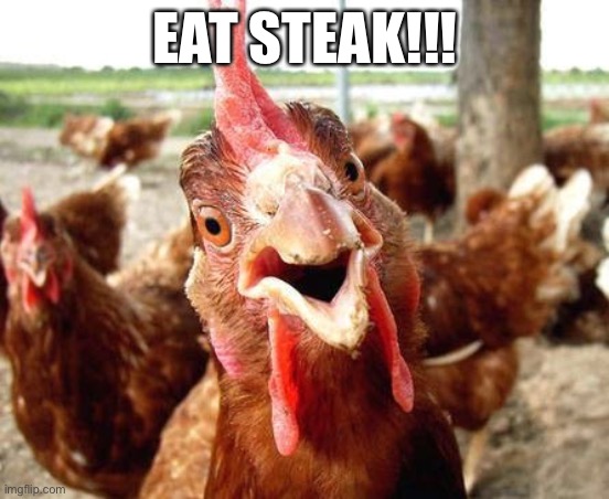 Stop eatin’ chikin! | EAT STEAK!!! | image tagged in chicken | made w/ Imgflip meme maker