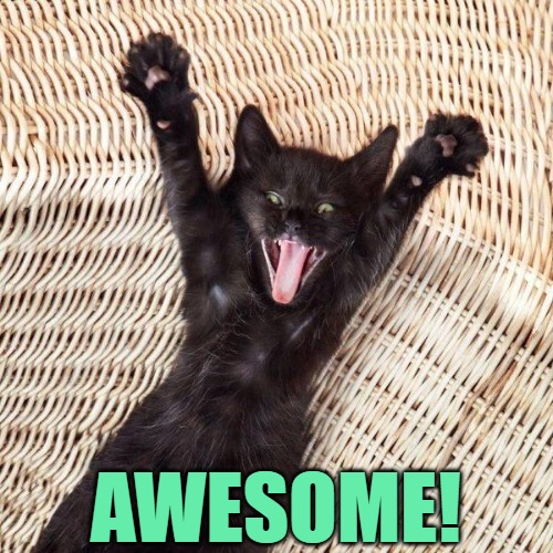 Happy cat  | AWESOME! | image tagged in happy cat | made w/ Imgflip meme maker
