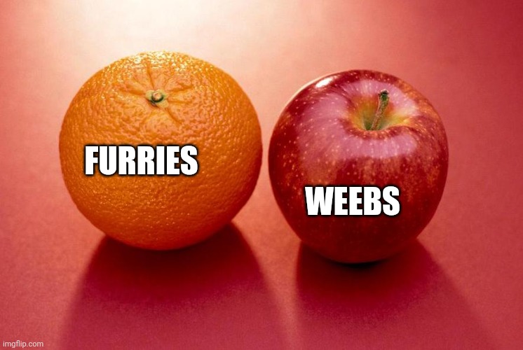 Apples and Oranges | FURRIES WEEBS | image tagged in apples and oranges | made w/ Imgflip meme maker