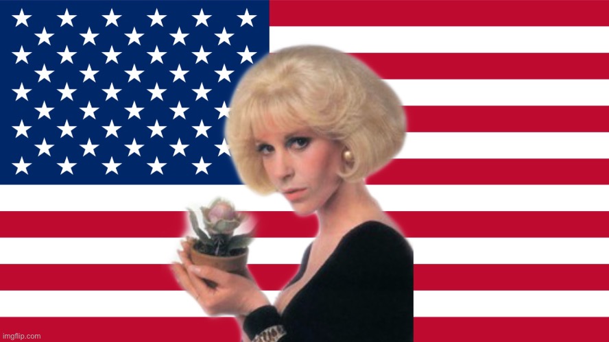 audrey fulquard american flag | image tagged in little shop of horrors | made w/ Imgflip meme maker