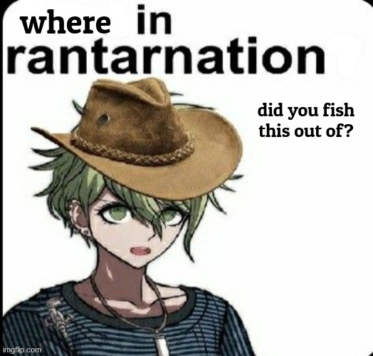 What in Rantarnation | where did you fish this out of? | image tagged in what in rantarnation | made w/ Imgflip meme maker