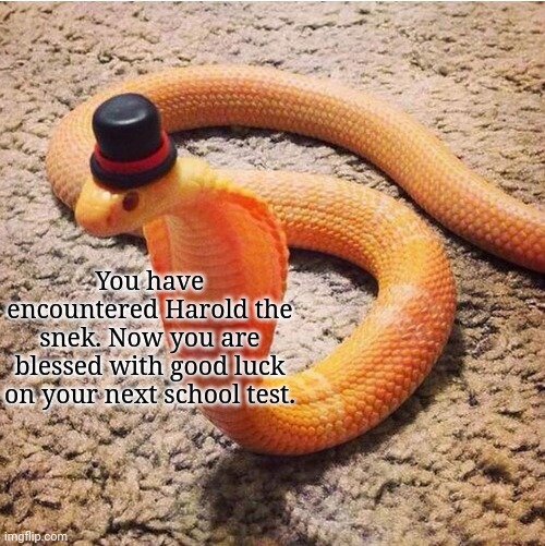 Have a great day. |  You have encountered Harold the snek. Now you are blessed with good luck on your next school test. | image tagged in dapper snek,wholesome,memes | made w/ Imgflip meme maker