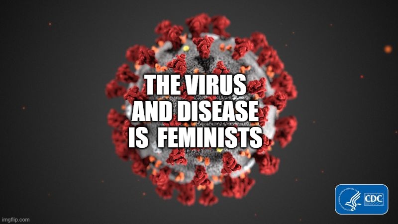 feminists is a virus | THE VIRUS AND DISEASE IS  FEMINISTS | image tagged in google search | made w/ Imgflip meme maker