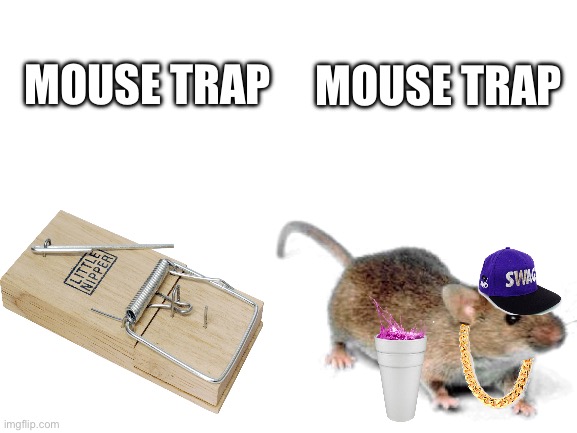 Mouse trap | MOUSE TRAP; MOUSE TRAP | image tagged in blank white template | made w/ Imgflip meme maker