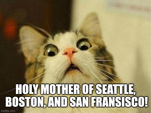 Scared Cat Meme | HOLY MOTHER OF SEATTLE,  BOSTON, AND SAN FRANSISCO! | image tagged in memes,scared cat | made w/ Imgflip meme maker