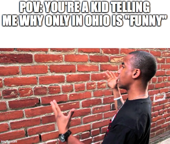 Brick wall | POV: YOU'RE A KID TELLING ME WHY ONLY IN OHIO IS "FUNNY" | image tagged in brick wall | made w/ Imgflip meme maker