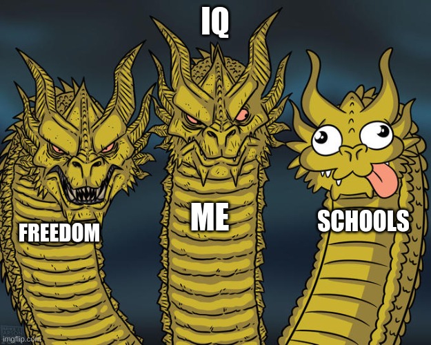 You probably won`t understand | IQ; ME; SCHOOLS; FREEDOM | image tagged in three-headed dragon | made w/ Imgflip meme maker