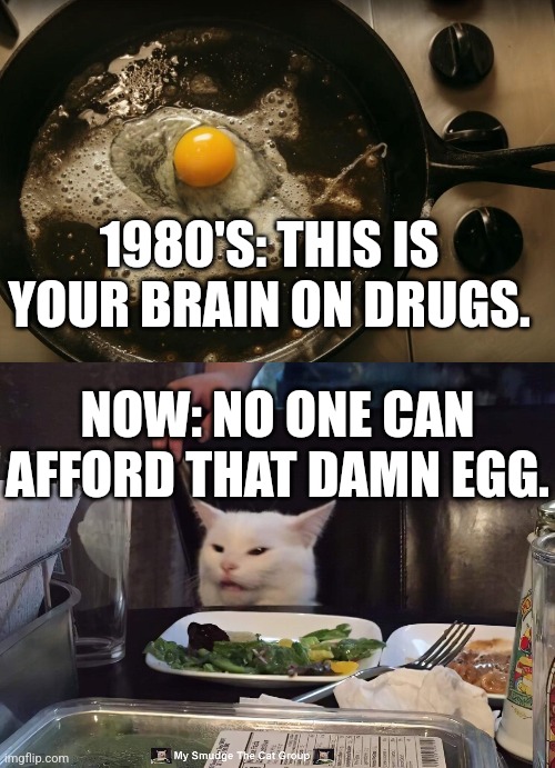 1980'S: THIS IS YOUR BRAIN ON DRUGS. NOW: NO ONE CAN AFFORD THAT DAMN EGG. | image tagged in smudge the cat | made w/ Imgflip meme maker