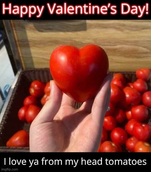 Have a Wonderful Valentine’s Day | Happy Valentine’s Day! I love ya from my head tomatoes | made w/ Imgflip meme maker