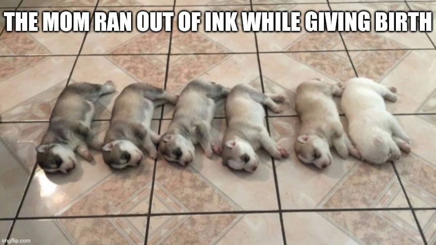 Check cartridge | THE MOM RAN OUT OF INK WHILE GIVING BIRTH | image tagged in memes,fun,puppies | made w/ Imgflip meme maker