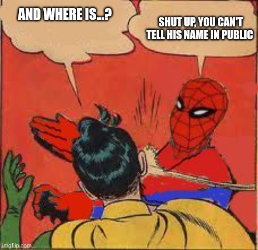 sweet revenge | SHUT UP, YOU CAN'T TELL HIS NAME IN PUBLIC; AND WHERE IS...? | image tagged in spider-man slapping robin | made w/ Imgflip meme maker