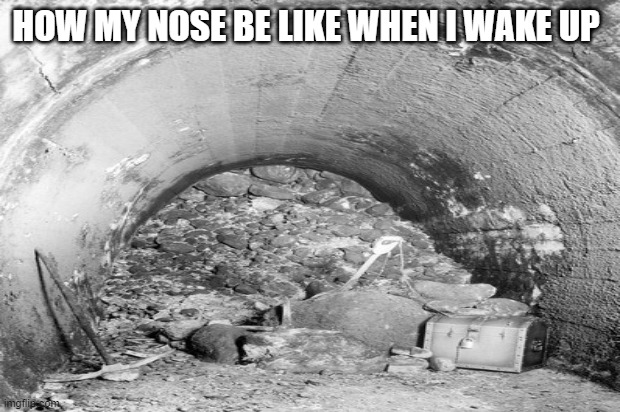 HOW MY NOSE BE LIKE WHEN I WAKE UP | made w/ Imgflip meme maker