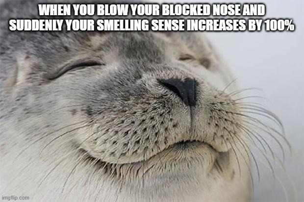 Satisfied Seal | WHEN YOU BLOW YOUR BLOCKED NOSE AND SUDDENLY YOUR SMELLING SENSE INCREASES BY 100% | image tagged in memes,satisfied seal | made w/ Imgflip meme maker
