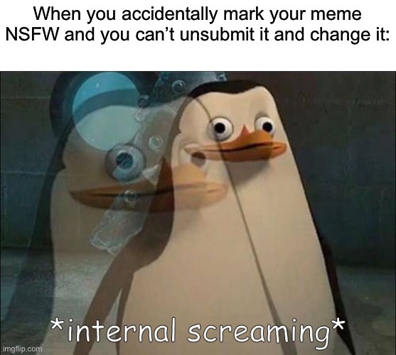 Pain | When you accidentally mark your meme NSFW and you can’t unsubmit it and change it: | image tagged in private internal screaming | made w/ Imgflip meme maker