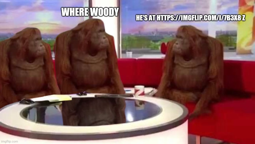 where monkey | HE'S AT HTTPS://IMGFLIP.COM/I/7B3X8 Z; WHERE WOODY | image tagged in where monkey | made w/ Imgflip meme maker