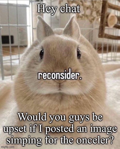 reconsider | Hey chat; Would you guys be upset if I posted an image simping for the onceler? | image tagged in reconsider | made w/ Imgflip meme maker