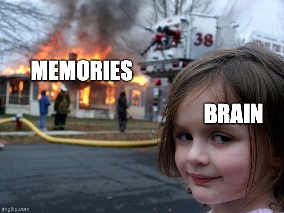 yes 145 | MEMORIES; BRAIN | image tagged in memes,disaster girl | made w/ Imgflip meme maker